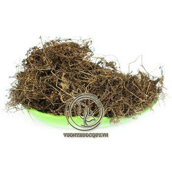 Bạch Hoa Xà Thiệt Thảo Sạch