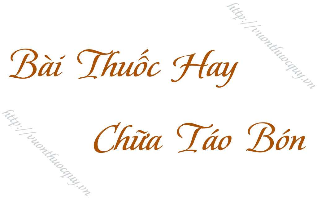 bài thuốc hay chữa táo bón
