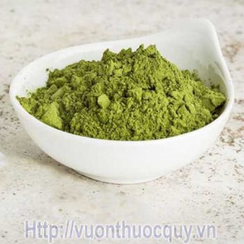 bột chùm ngây
