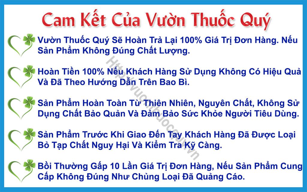 Cam Kết Của Vườn Thuốc Quý