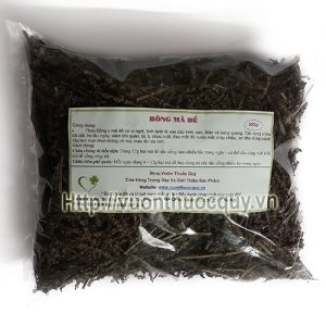 cây bông mã đề