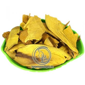 Cây Mật Gấu Sạch
