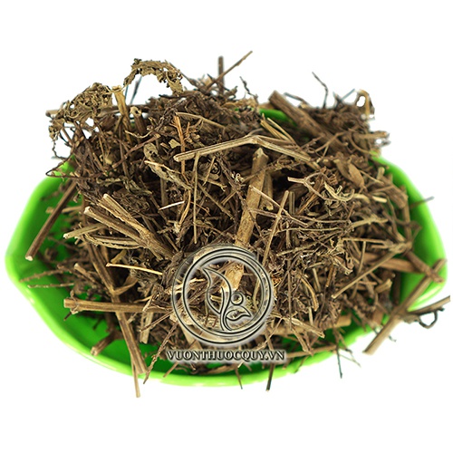 Cây Râu Mèo Sạch