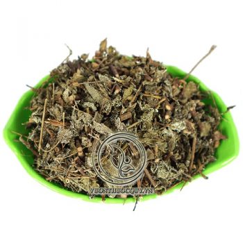 Chè Dây Sạch