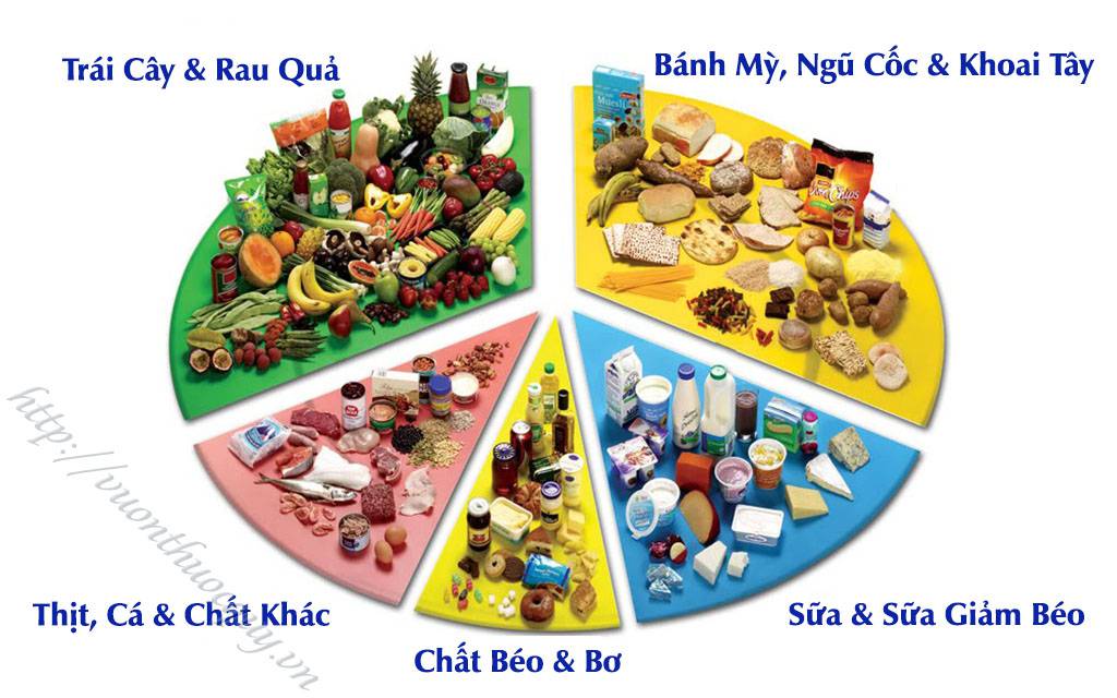 chế độ dinh dưỡng cho người tiểu đường