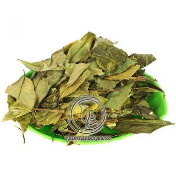 Chè Dung Vàng Sạch