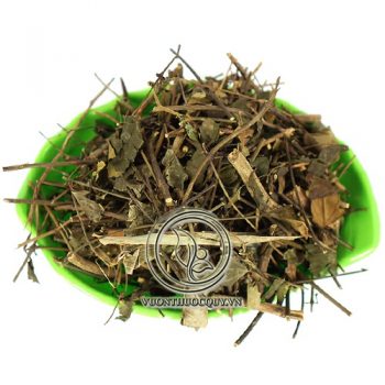 Chè Vằng Sẻ