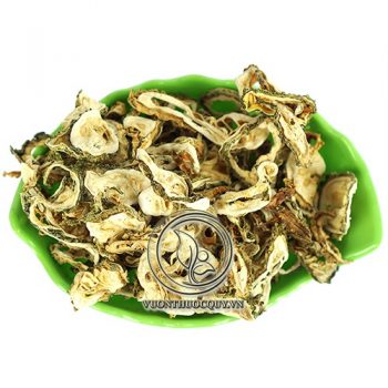 Mướp Đắng Rừng