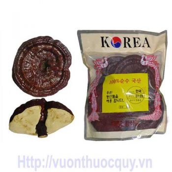 nấm linh chi đỏ hàn quốc