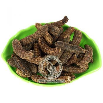 Quả Chuối Hột Khô