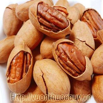 quả hồ đào