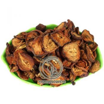 Quả Táo Mèo