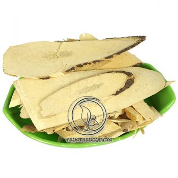 Rễ Mật Nhân