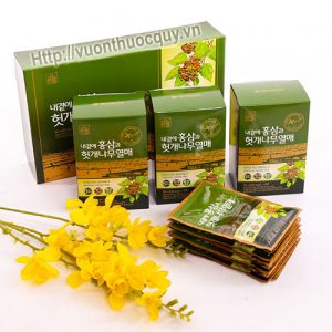 mát gan hồng sâm hovenia