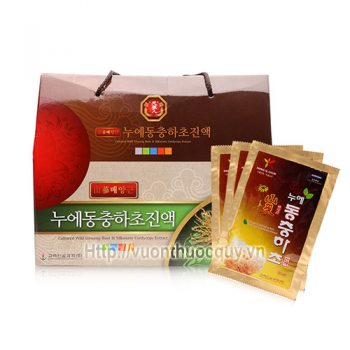 nước uống đông trùng hạ thảo quai xách