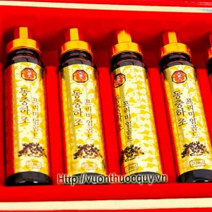 tinh chất đông trùng hạ thảo dạng ống 2