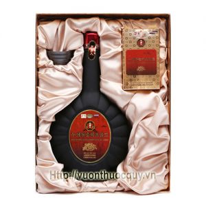 tinh chất đông trùng hạ thảosilkworm dongchoonghacho gold