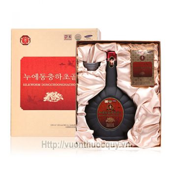 tinh chất đông trùng hạ thảosilkworm dongchoonghacho gold 4
