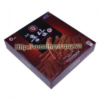 tinh chất hồng sâm pocheon 1