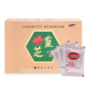 trà linh chi longevity mushroom 1