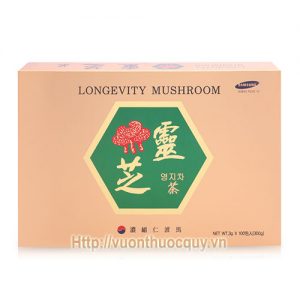 trà linh chi longevity mushroom
