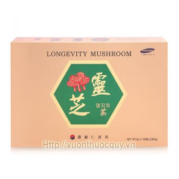 trà linh chi longevity mushroom