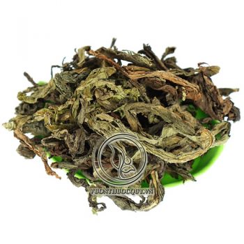 Bồ Công Anh Sạch
