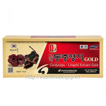 cao linh chi đông trùng hạ thảo extract gold
