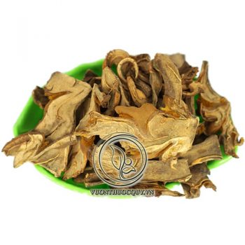 Cẩu Tích Sạch