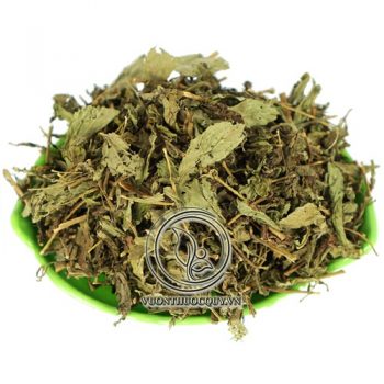 Cỏ Ngọt Sạch