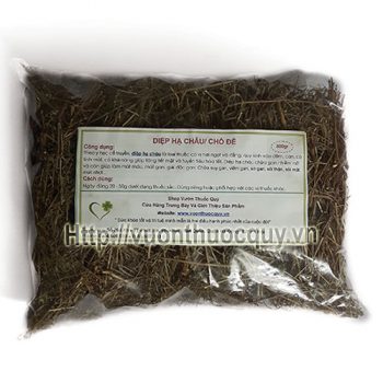 diệp hạ châu đắng