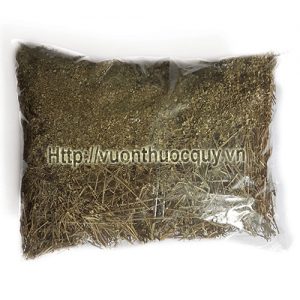 diệp hạ châu đắng khô