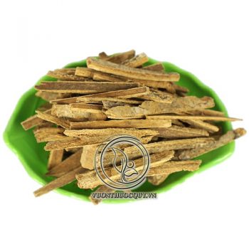 Ngũ Gia Bì Sạch