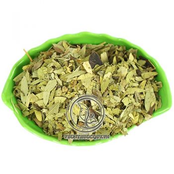 Phan Tả Diệp Sạch