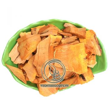 Rễ Nhàu Khô