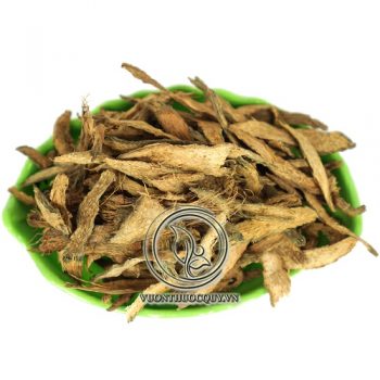 Thiên Niên Kiện Sạch