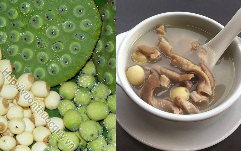 bao tử hầm hạt sen
