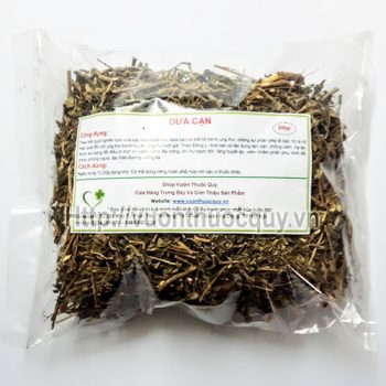 Cây Dừa Cạn Khô 1
