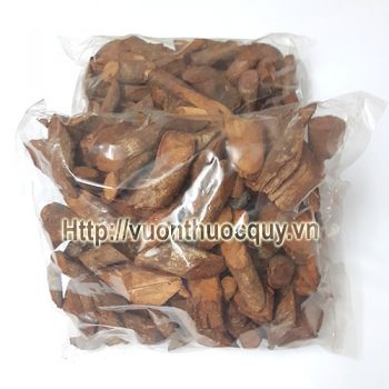 cây tơm trơng 1