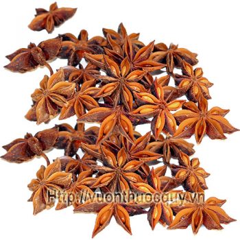 đại hồi khô