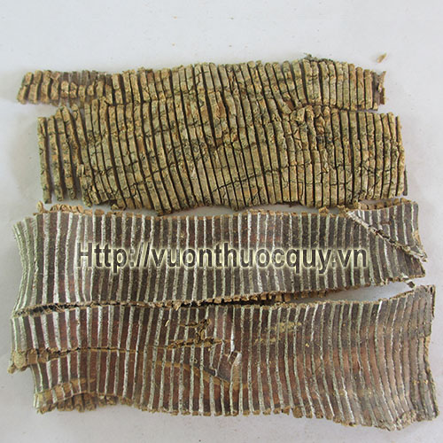 đỗ trọng