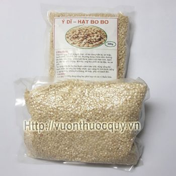 hạt ý dĩ 1