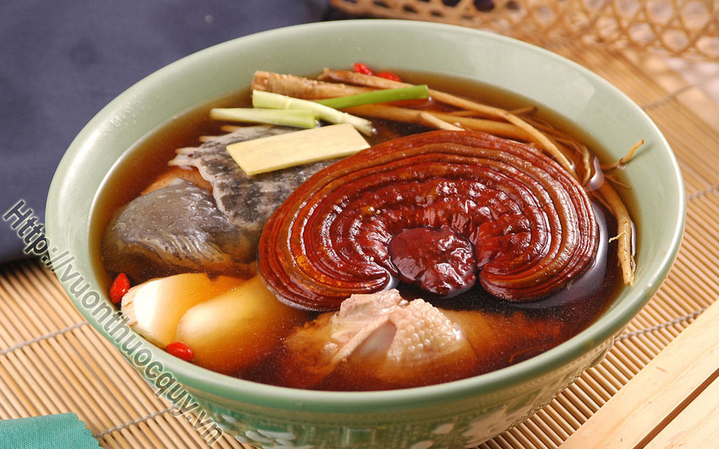 nấm linh chi hầm gà