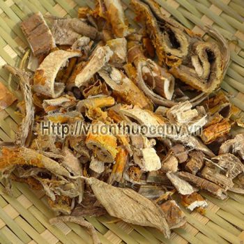 tang bạch bì