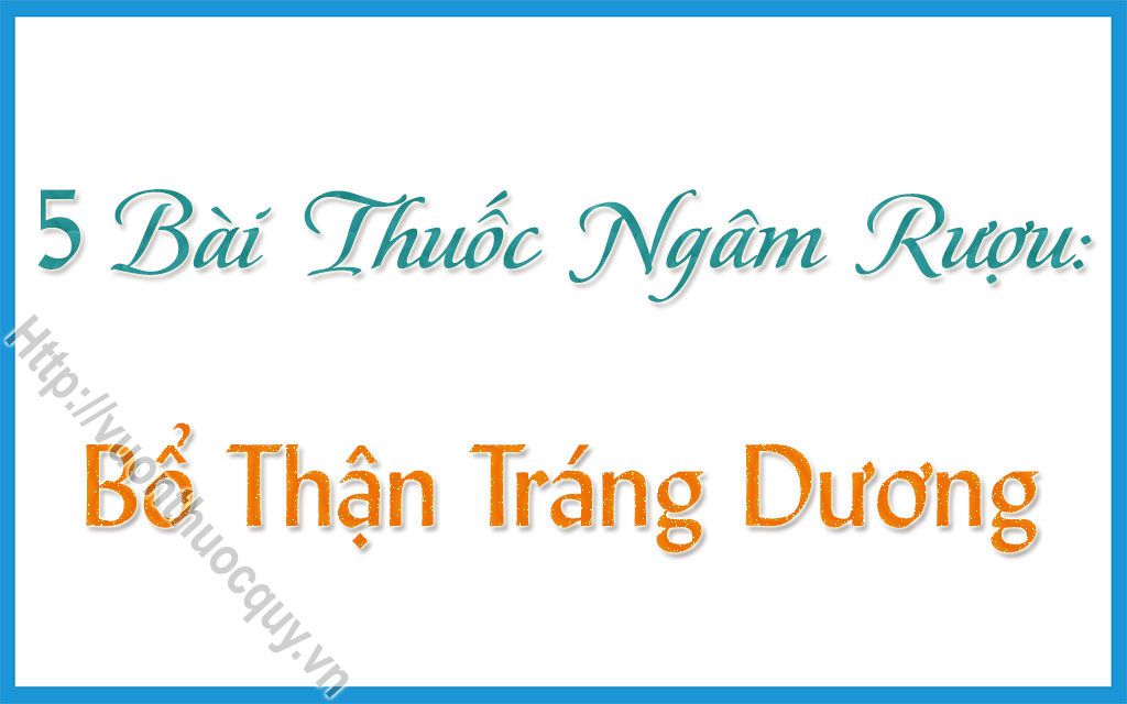 Những Bài Rượu Thuốc Bổ Thận Tráng Dương