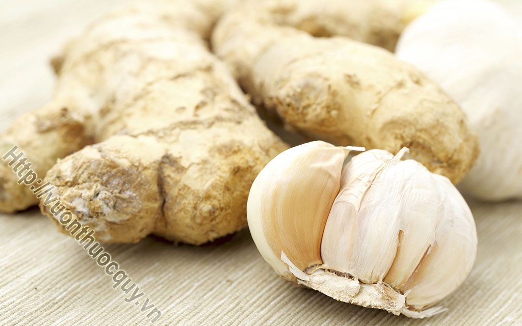 thực phẩm người bệnh gan nên ăn kiêng