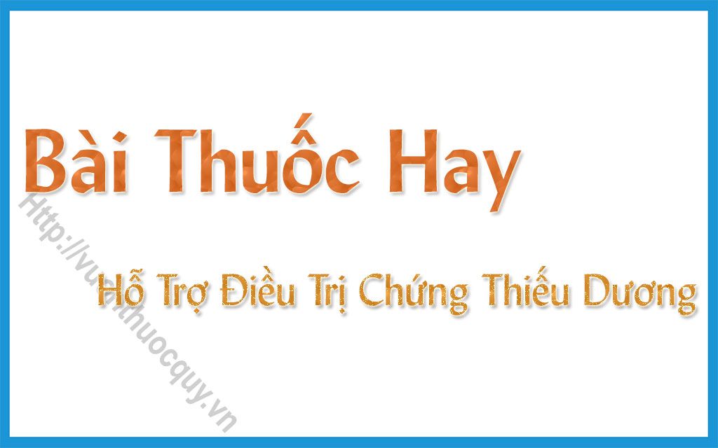 Bài Thuốc Hay Hỗ Trợ Điều Trị Chứng Thiếu Dương