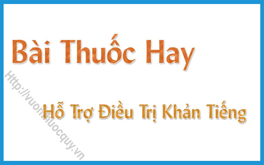 Bài Thuốc Hay Hỗ Trợ Điều Trị Khản Tiếng