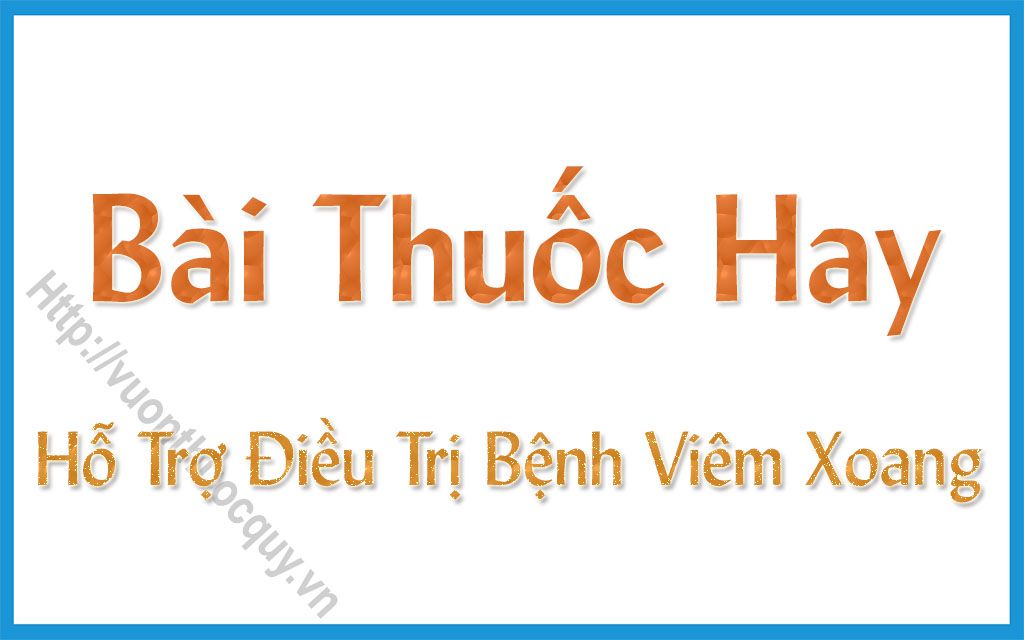 Bài Thuốc Hay Hỗ Trợ Điều Trị Viêm Xoang