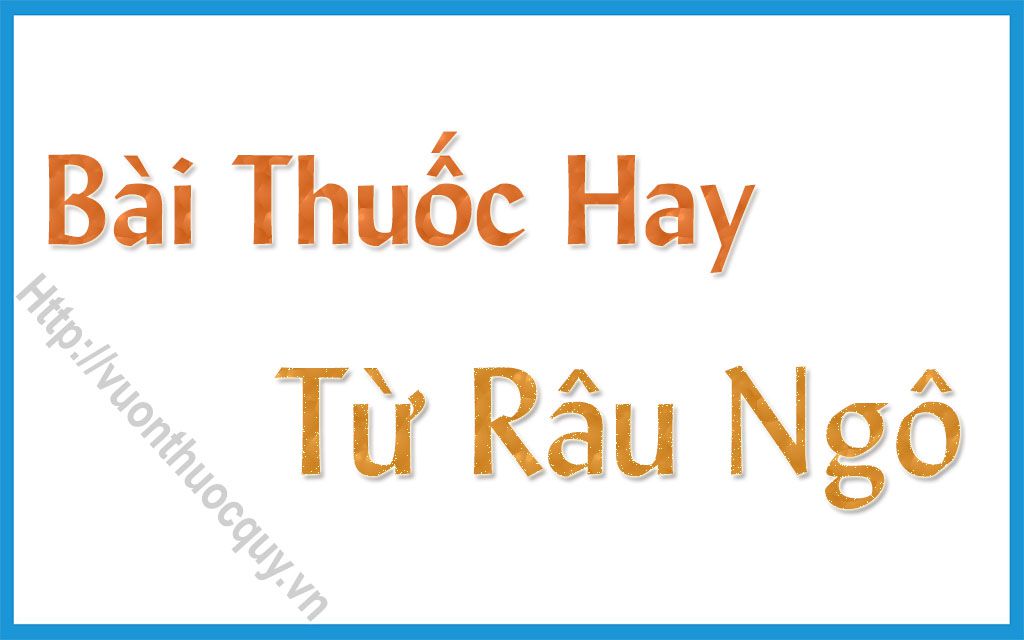 Bài Thuốc Hay Từ Râu Ngô